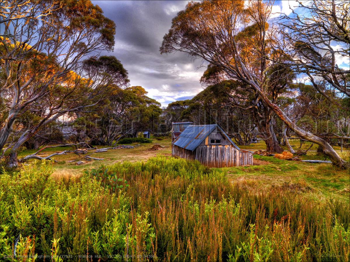 Peter Bellingham Photography Wallace Hut - VIC SQ (PBH3 00 34366)